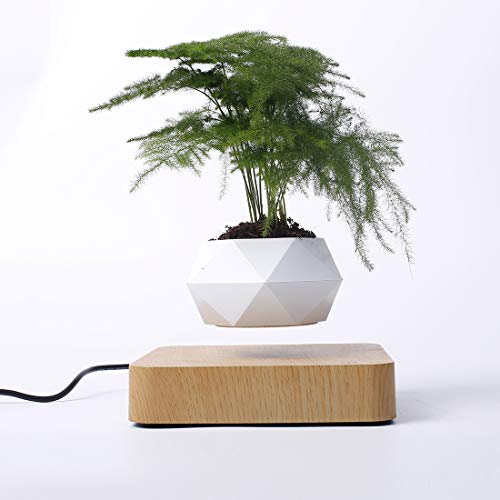 Lévitation Magnétique Flottant Air Bonsaï Pot Magnétique Lévitation Suspension Pot de Fleurs Micro Paysage Jardinage pour Home Office Décoration Cadeau de La Fête des Pères,Natural